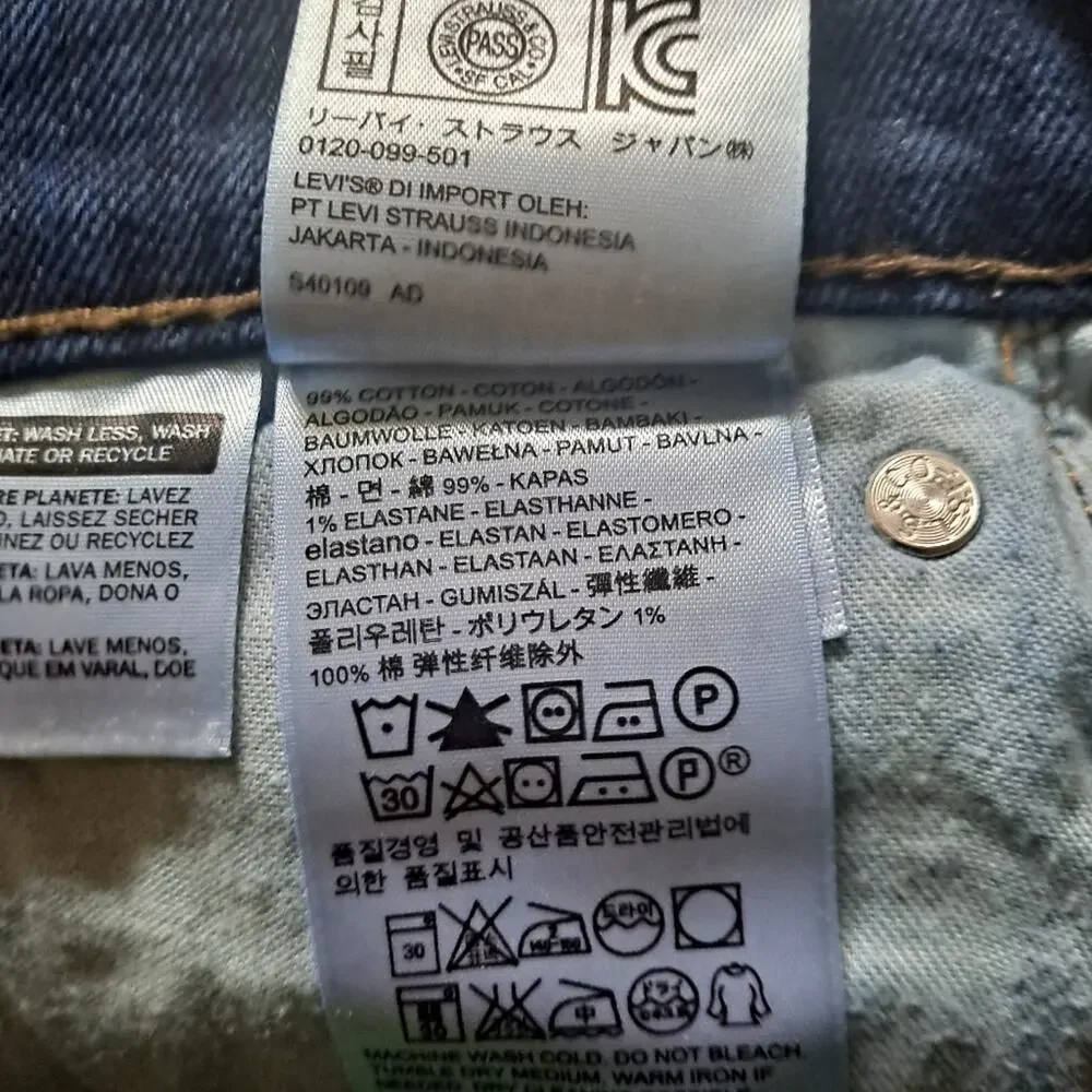 Levis levi strauss